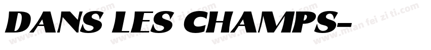 DANS LES CHAMPS字体转换